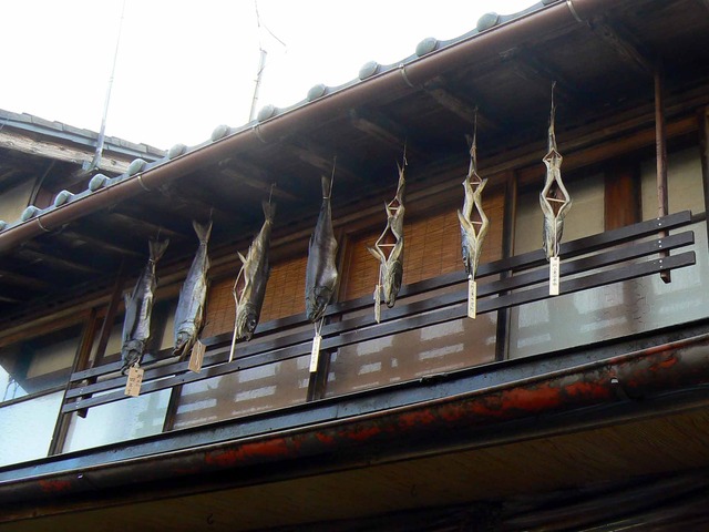 P1090753-2048.jpg