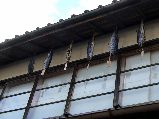 P1090754-2048.jpg