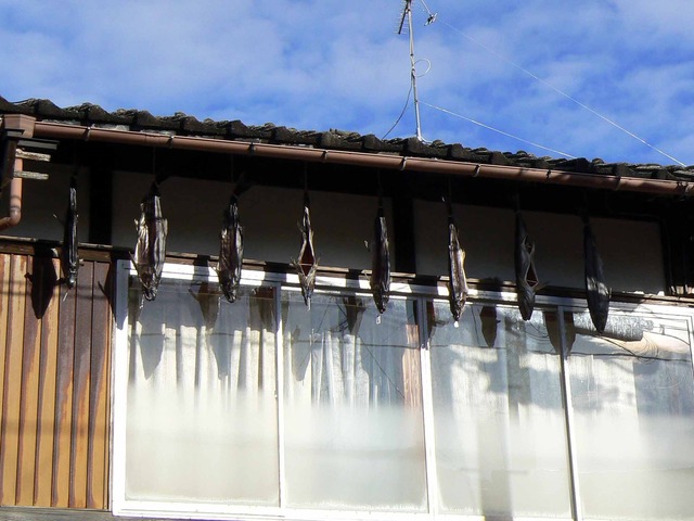 P1090756-2048.jpg