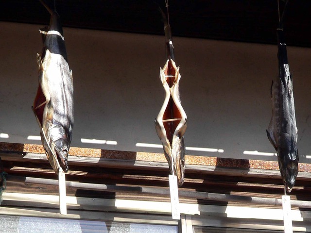 P1090757-2048.jpg