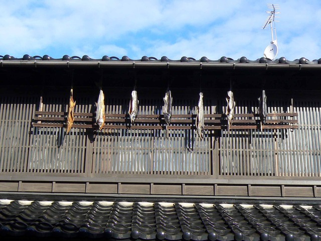 P1090761-2048.jpg