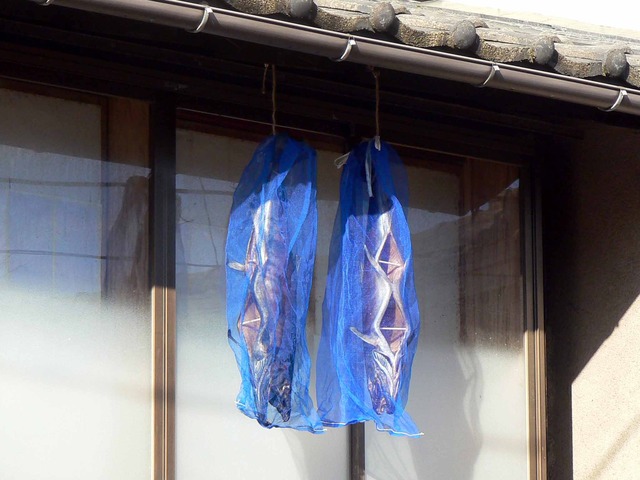 P1090764-2048.jpg