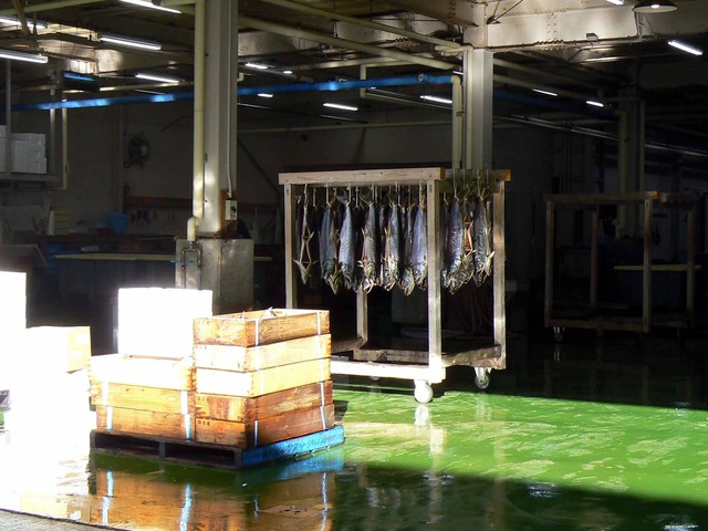 P1090772-2048.jpg