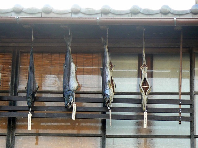 P1090779-2048.jpg