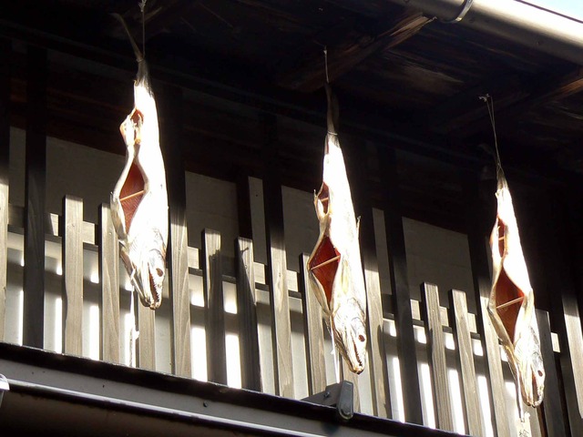 P1090783-2048.jpg