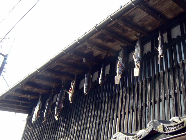 P1090789-2048.jpg