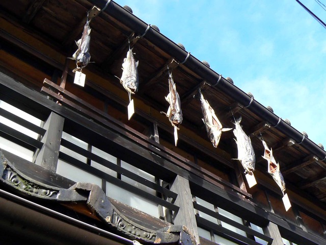 P1090791-2048.jpg