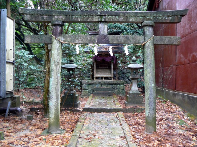 P1090969-2048.jpg