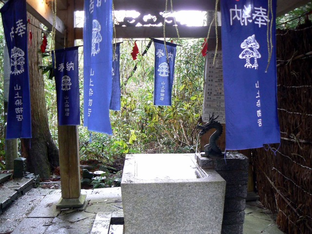 P1090977-2048.jpg