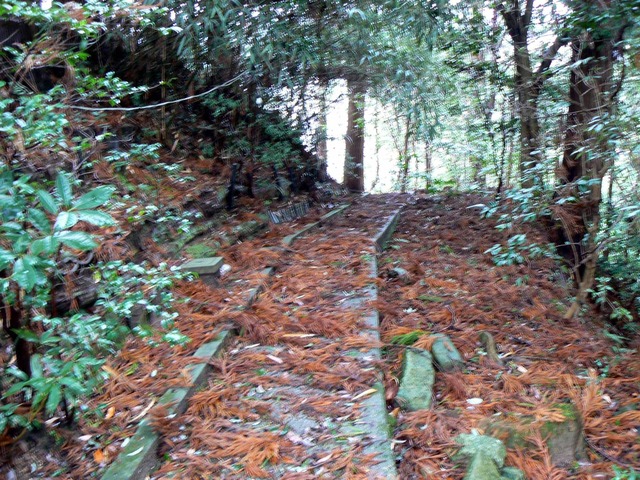 P1090979-2048.jpg