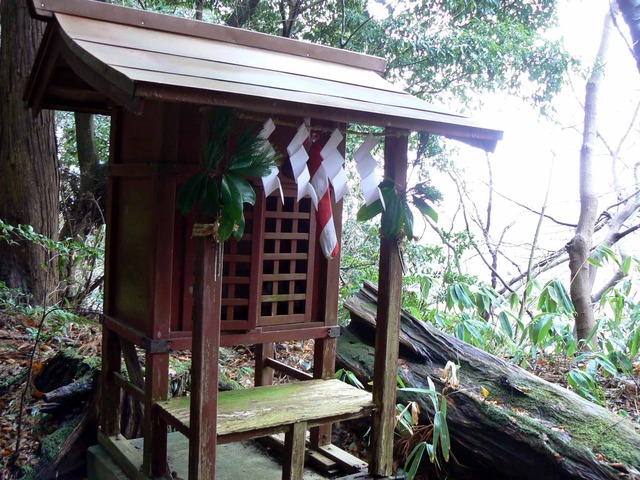 P1090982-2048.jpg