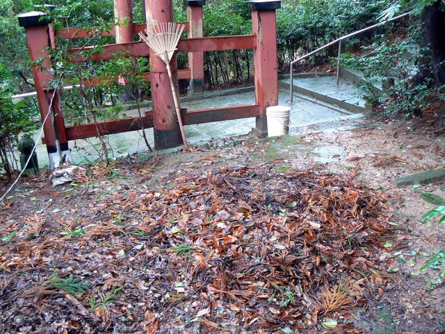 P1090985-2048.jpg
