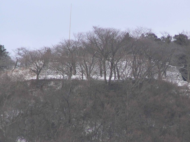 P1100001-2048.jpg