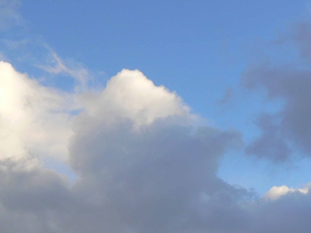 P1100003-2048.jpg