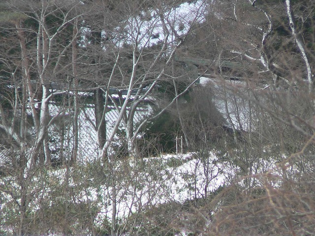 P1100006-2048.jpg