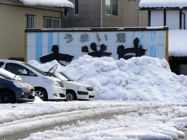 P1100066-2048.jpg