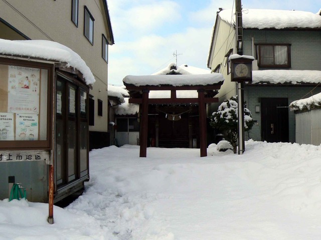 P1100069-2048.jpg
