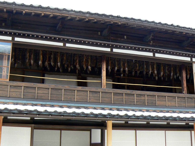 P1100086-2048.jpg