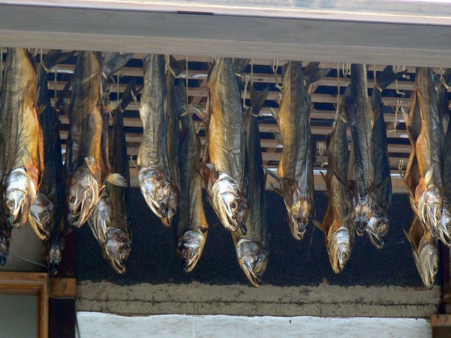 P1100087-2048.jpg