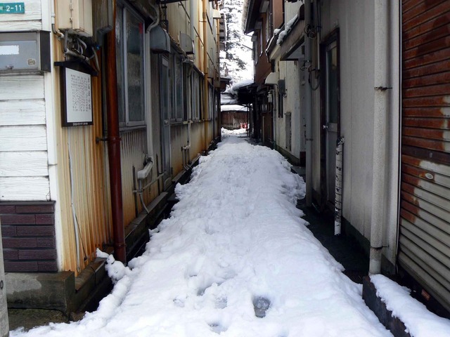 P1100090-2048.jpg