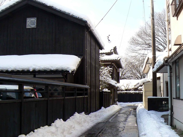 P1100099-2048.jpg