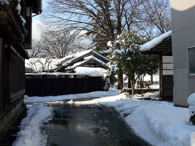 P1100102-2048.jpg