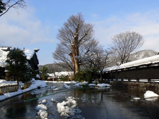 P1100122-2048.jpg