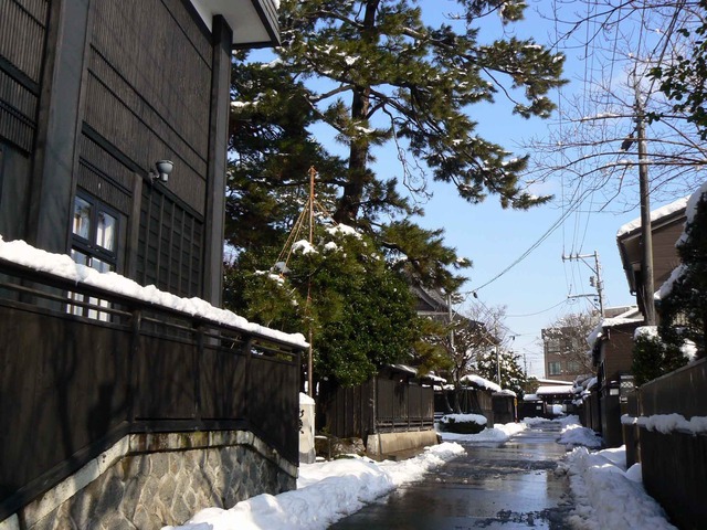 P1100127-2048.jpg