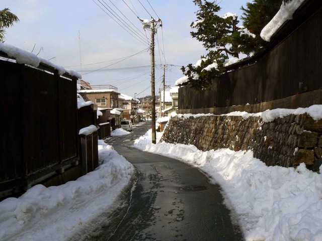 P1100130-2048.jpg