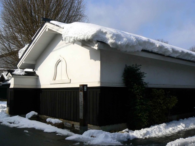 P1100135-2048.jpg