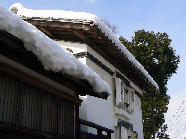 P1100151-2048.jpg