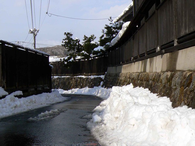 P1100152-2048.jpg
