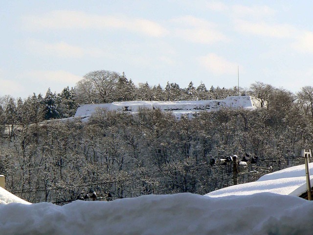 P1100155-2048.jpg