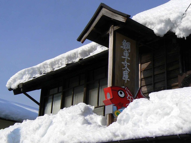 P1100172-2048.jpg