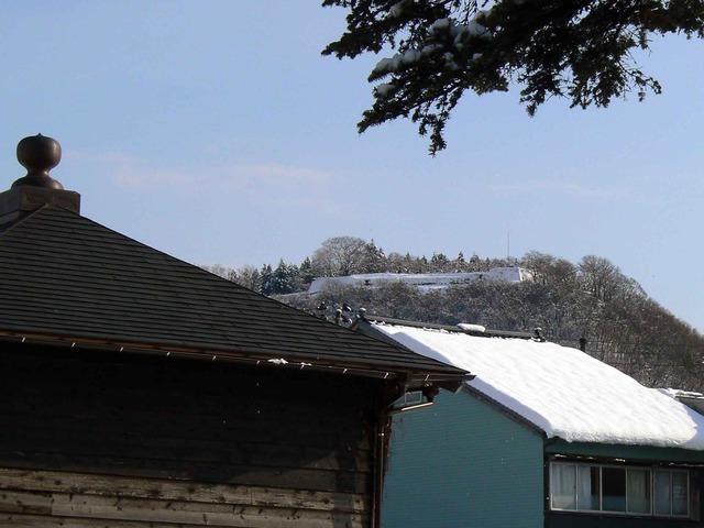 P1100178-2048.jpg
