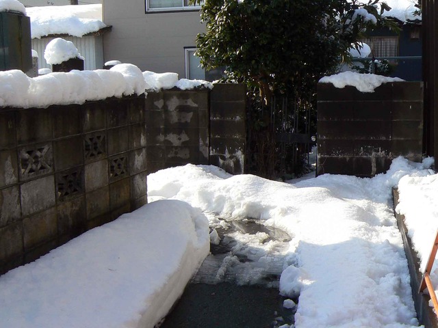 P1100181-2048.jpg