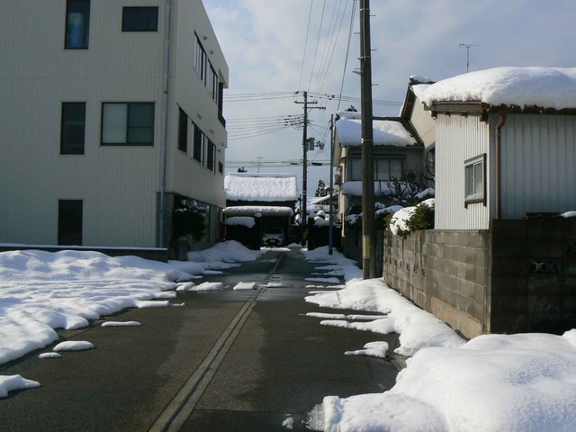 P1100184-2048.jpg