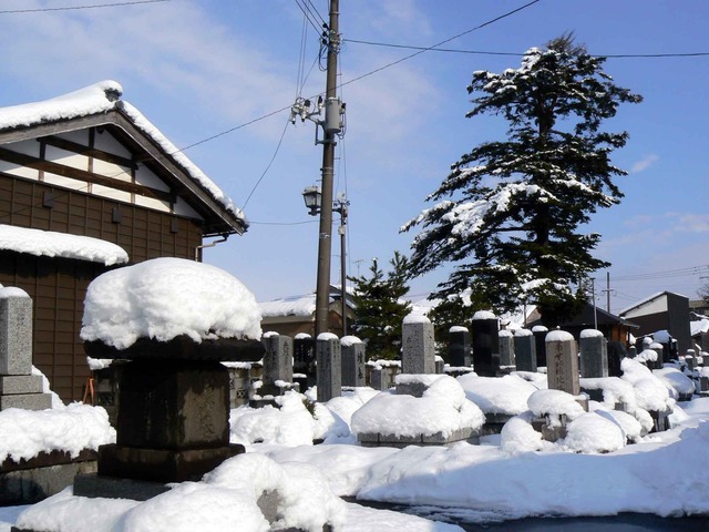 P1100190-2048.jpg