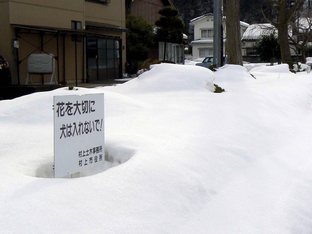 P1100526-2048.jpg