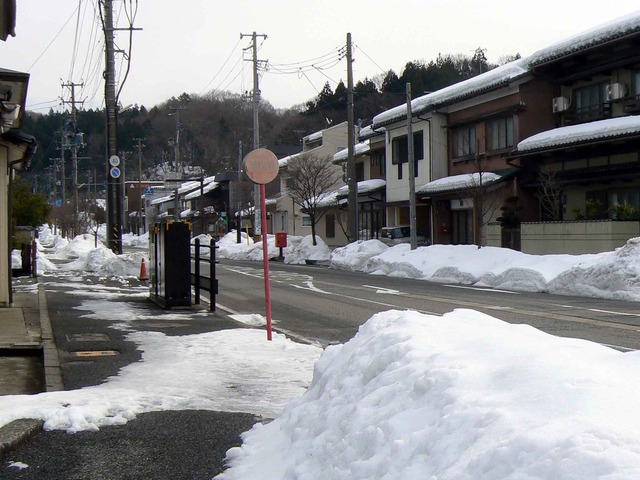 P1100529-2048.jpg
