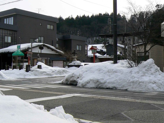 P1100534-2048.jpg