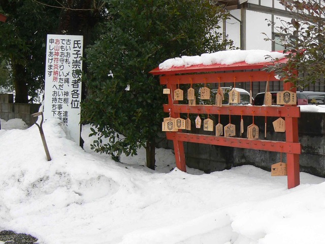 P1100537-2048.jpg