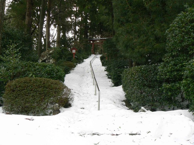 P1100543-2048.jpg