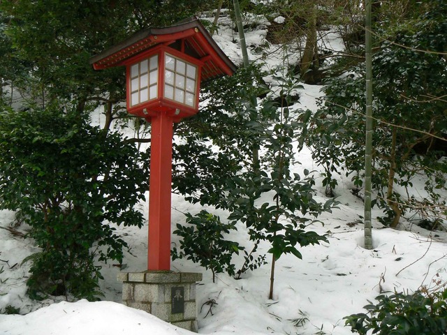 P1100547-2048.jpg