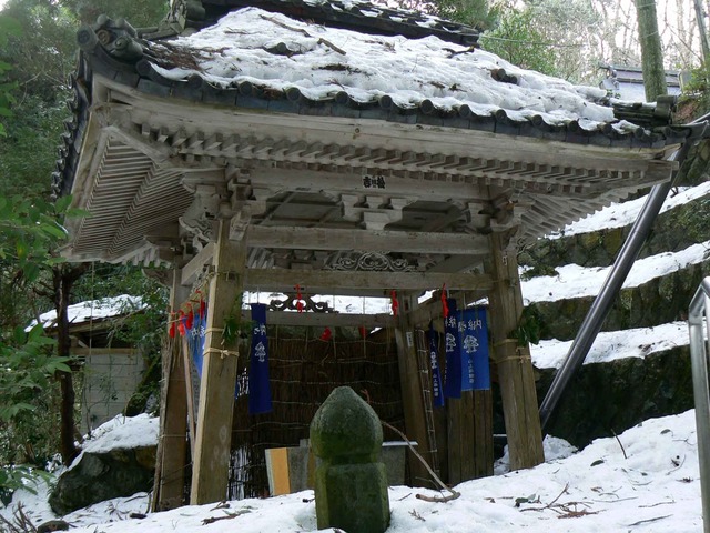 P1100552-2048.jpg