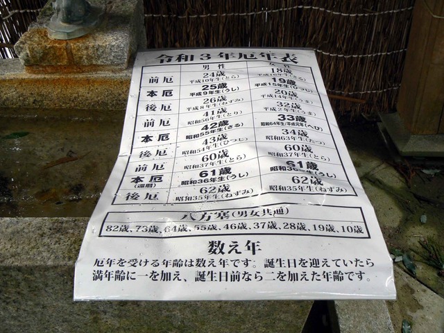 P1100555-2048.jpg