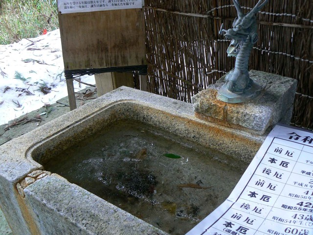 P1100556-2048.jpg