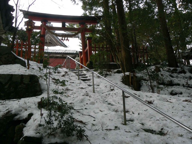 P1100558-2048.jpg