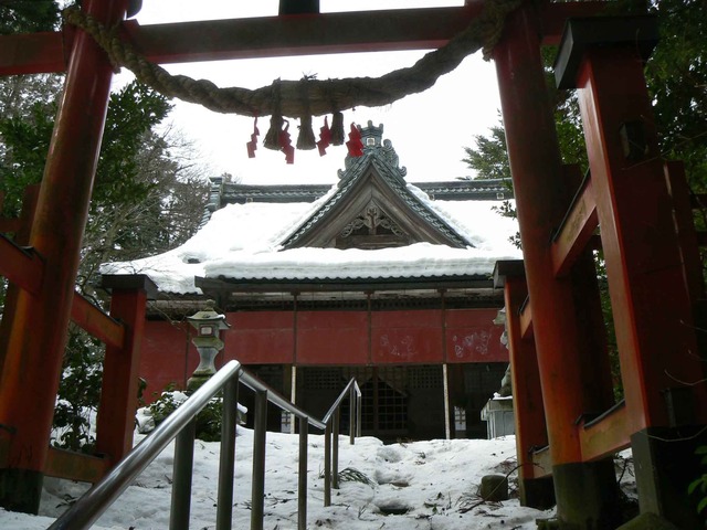 P1100560-2048.jpg