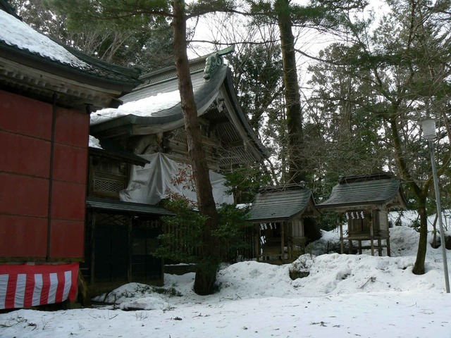 P1100572-2048.jpg